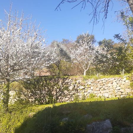 Villa Quinta Dos Carvalhos The Wine House Farm In Center Of Lamego - Capital Of The Douro Exterior foto